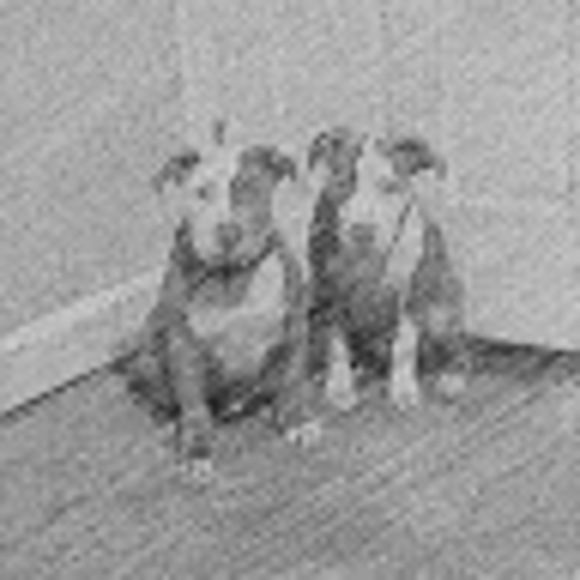 Meet your Posher, Aj - Picture 1 of 1